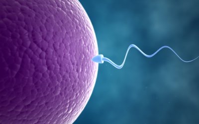 Μια αμφιλεγόμενη θεραπεία γονιμότητας παίρνει την πρώτη μεγάλη δοκιμή της